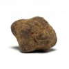 Moon Rock Desert Moon CBD