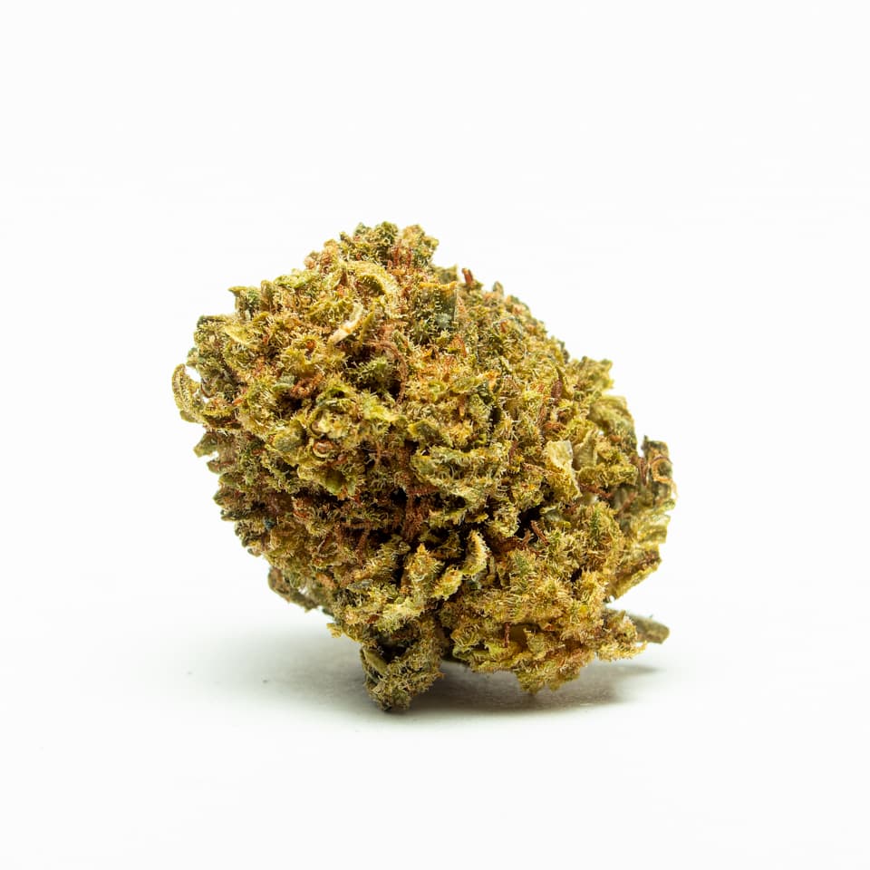 Flor Kritikal Bilbo CBD