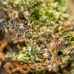 flores-cbd-chronic-918