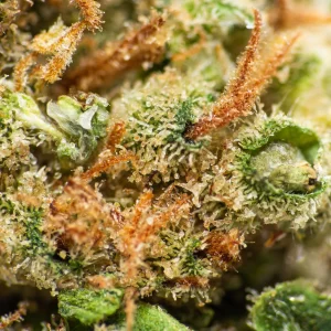 flores-cbd-gorilla-glue-912