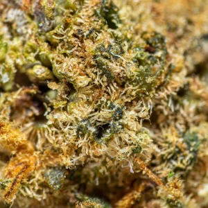flores-cbd-super-skunk-924