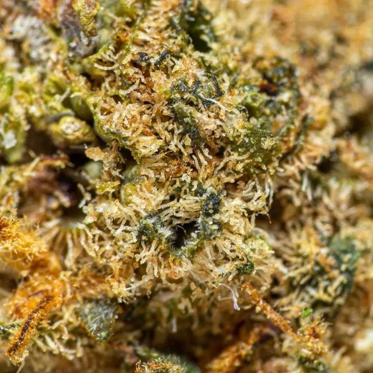 flores-cbd-super-skunk-924