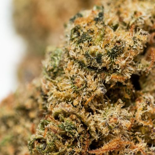 Flor White Widow CBD comprar cogollos online madrid vallecas
