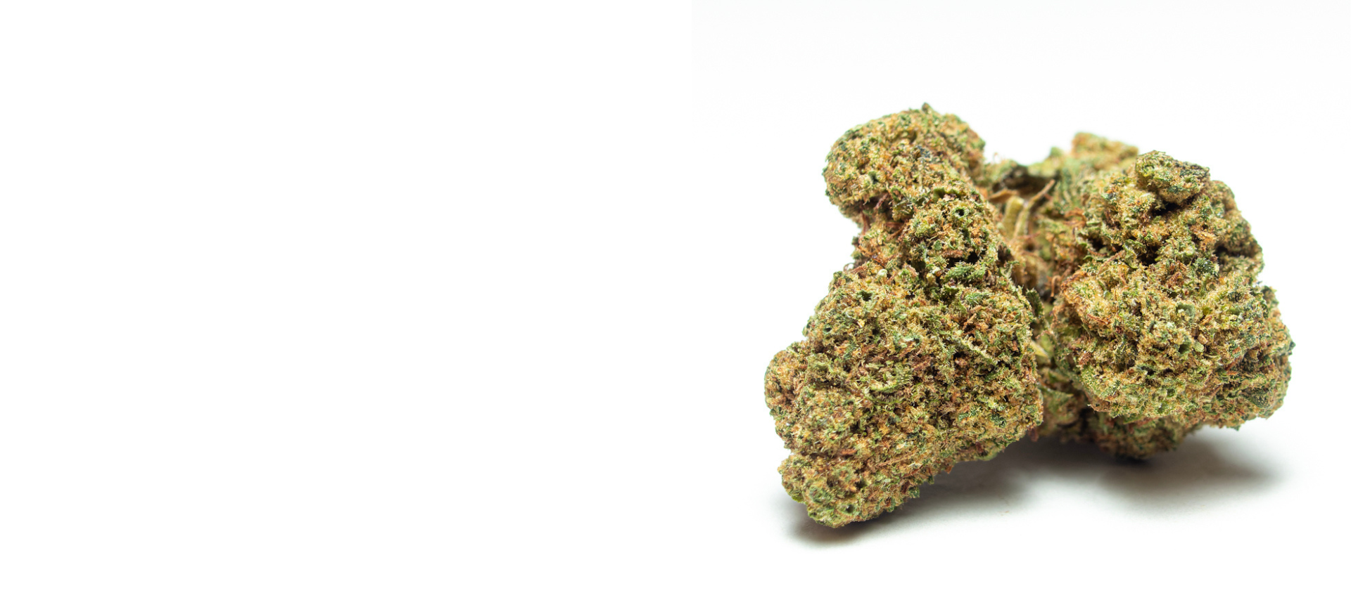 Nueva flor Banana Punch