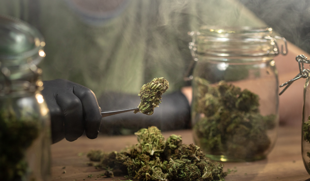 Flores de CBD