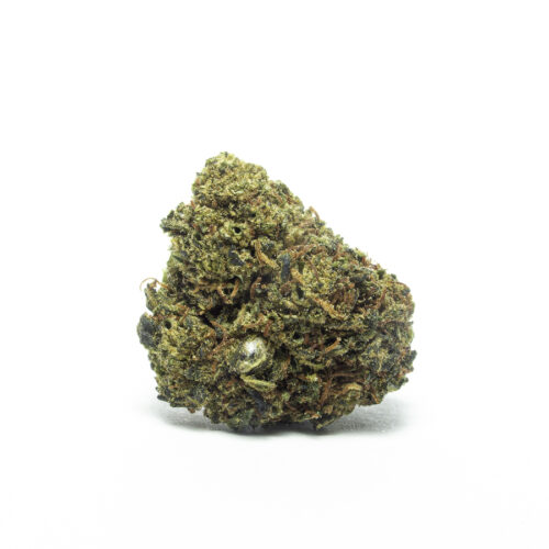 flor-cali-x-mango-hc-cbd-madrid