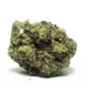 Flor Alien Cookie Gelatto CBD
